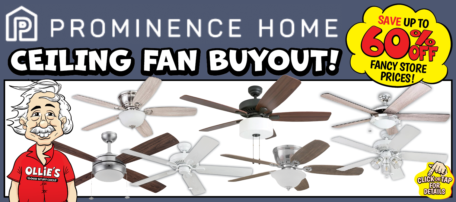 Prominence Home Ceiling Fan Buyout