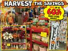 fall_harvest_deal